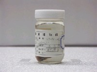 藏品(克氏蝴蝶魚)的圖片